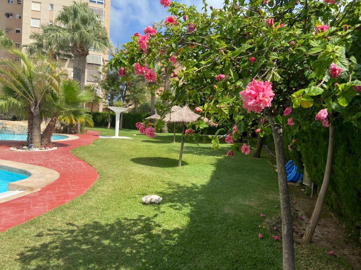Alicante Apartamento En La Playa Muchavista-San Juan - Marluma Frente Al Mar La Venteta 외부 사진